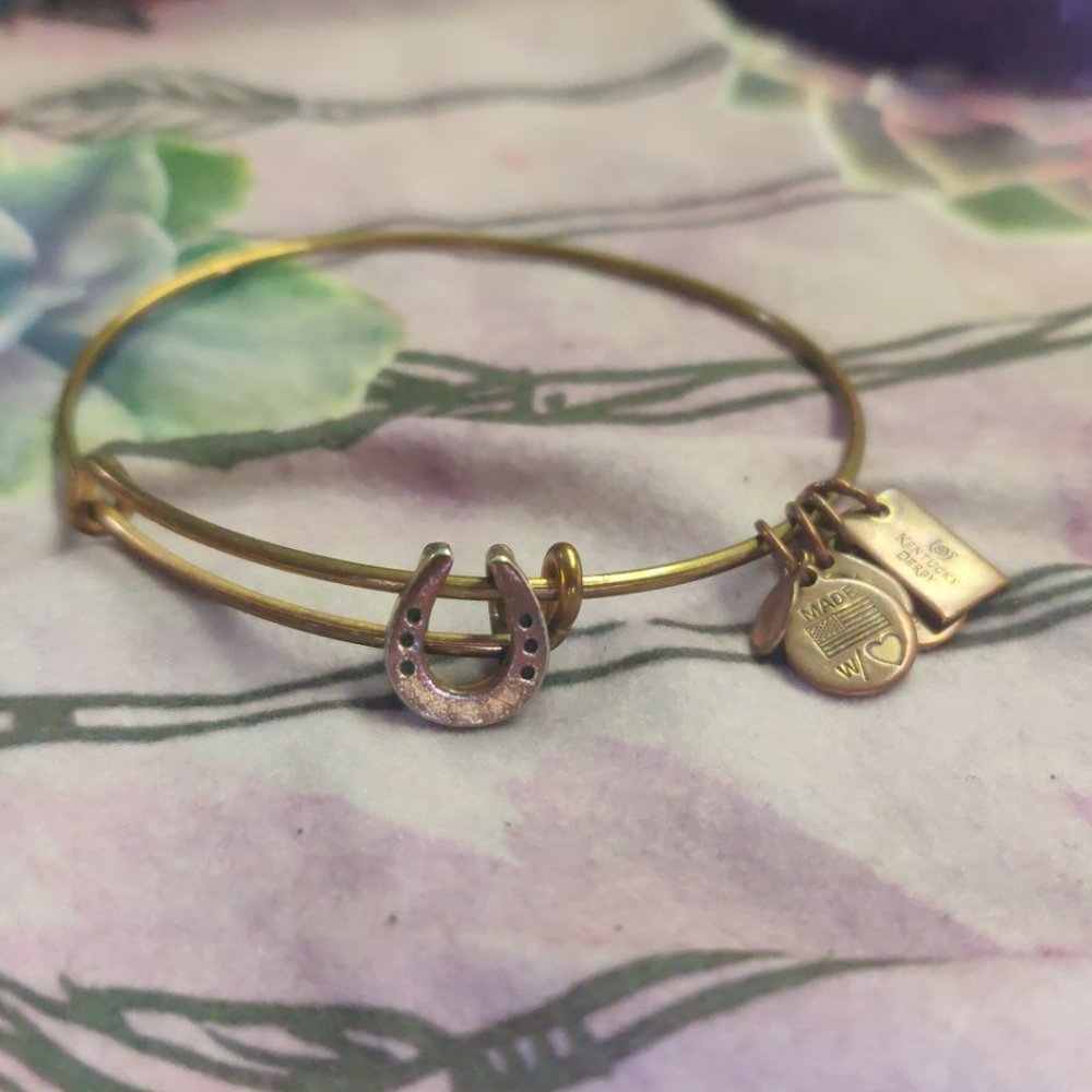 Horse Love w/ Alex and Ani: 1 horse shoe & 1 horse saddle charm Bangle